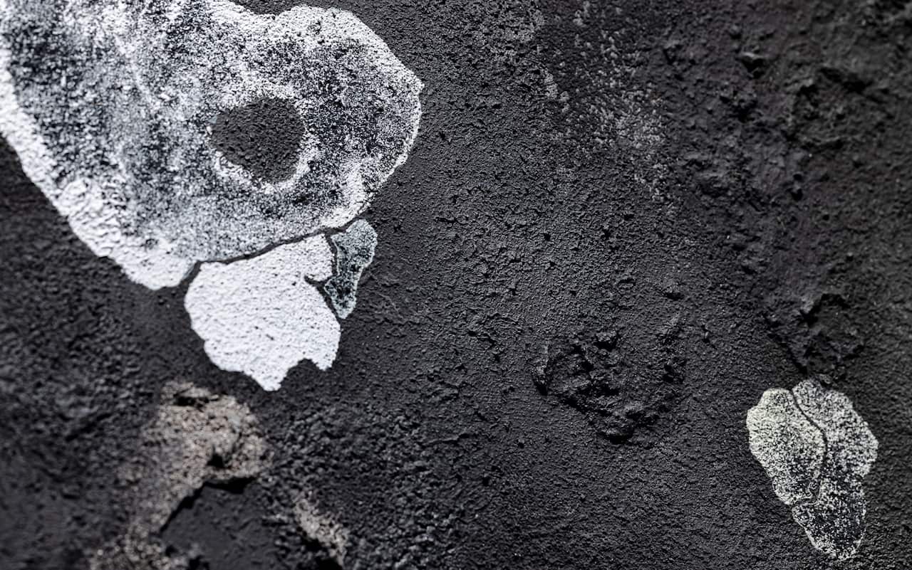 KCCL- Install_Feb 24-Web-9.jpg