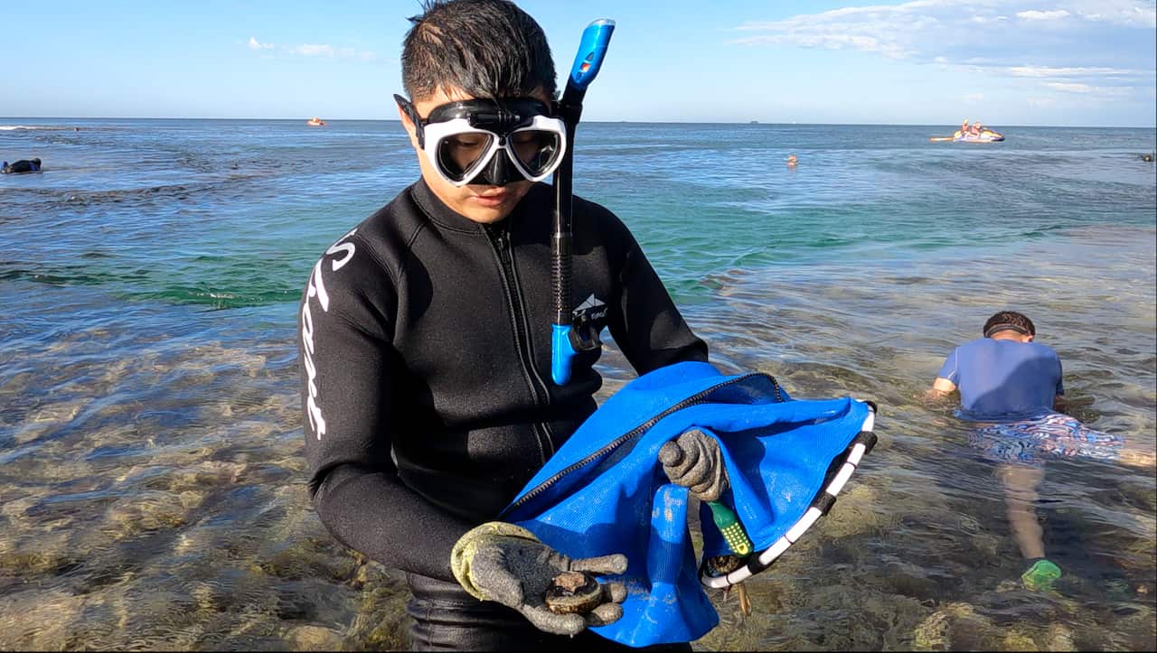 Taotao with abalone close shot.png