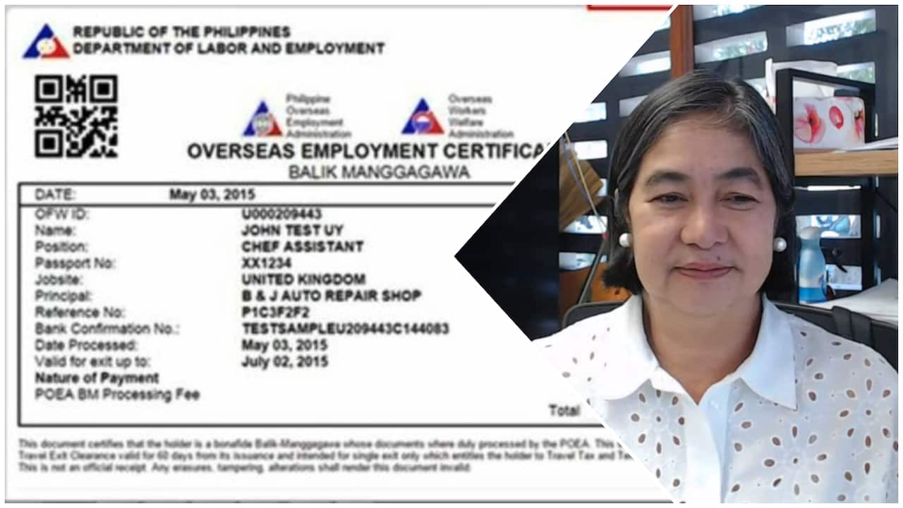 photo-collage.png (1).png