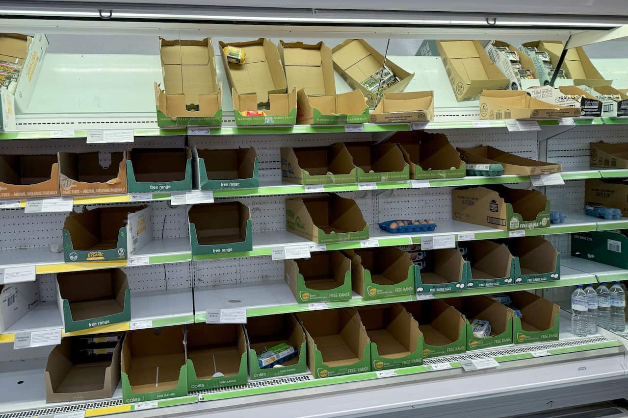 A wide shot of commercial supermarket refrigerator shelves that are almost entirely stripped of stock. The shelves, lined with green pricing strips, are filled with empty cardboard display boxes meant for egg cartons, including brands like Coles Free Range and Pace Farm. Only a handful of isolated egg cartons and a stray blue plastic egg holder with a few loose eggs remain scattered across the otherwise barren shelves. To the far right, a few large bottles of water are visible. Several small white "Customer Notice" signs are taped to the shelf edges.