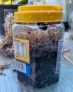 【园艺热线】如何养好微生物：用淘米水和牛奶制作简单EM菌