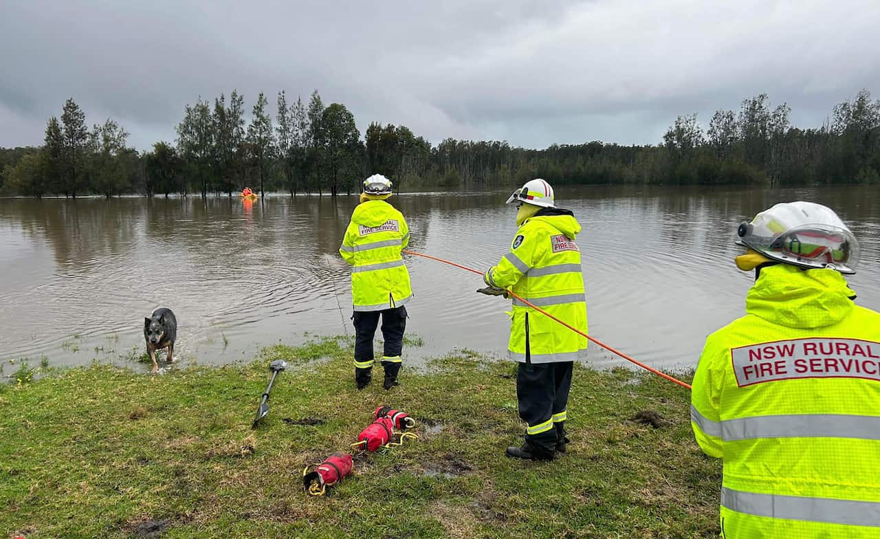 A group of emergency services workers at a flooded river. A dog is in the water.