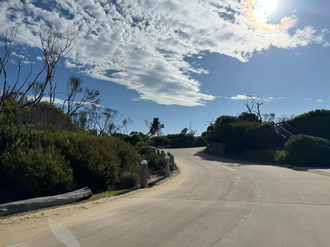 A wharf with burnt trees next to it.