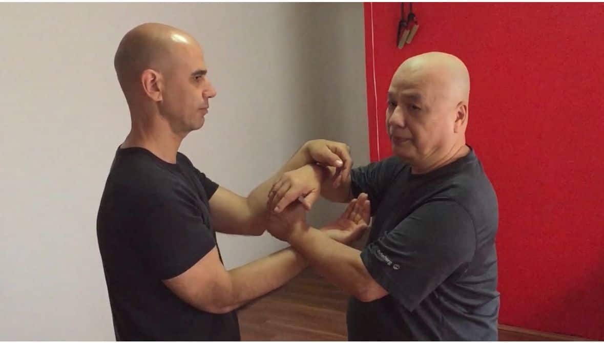 宙斯每周三去跟师父学咏春拳