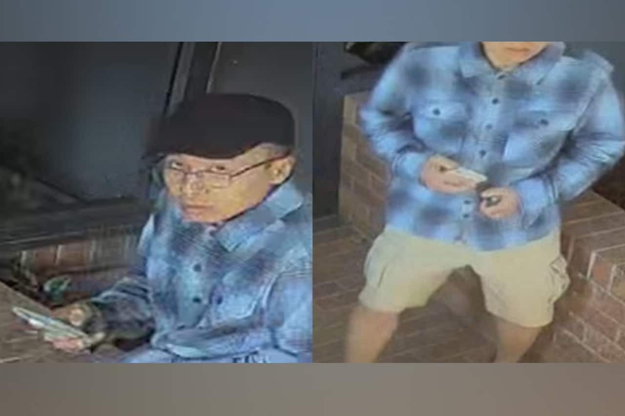 BABY ASSAULT BRISBANE PARK