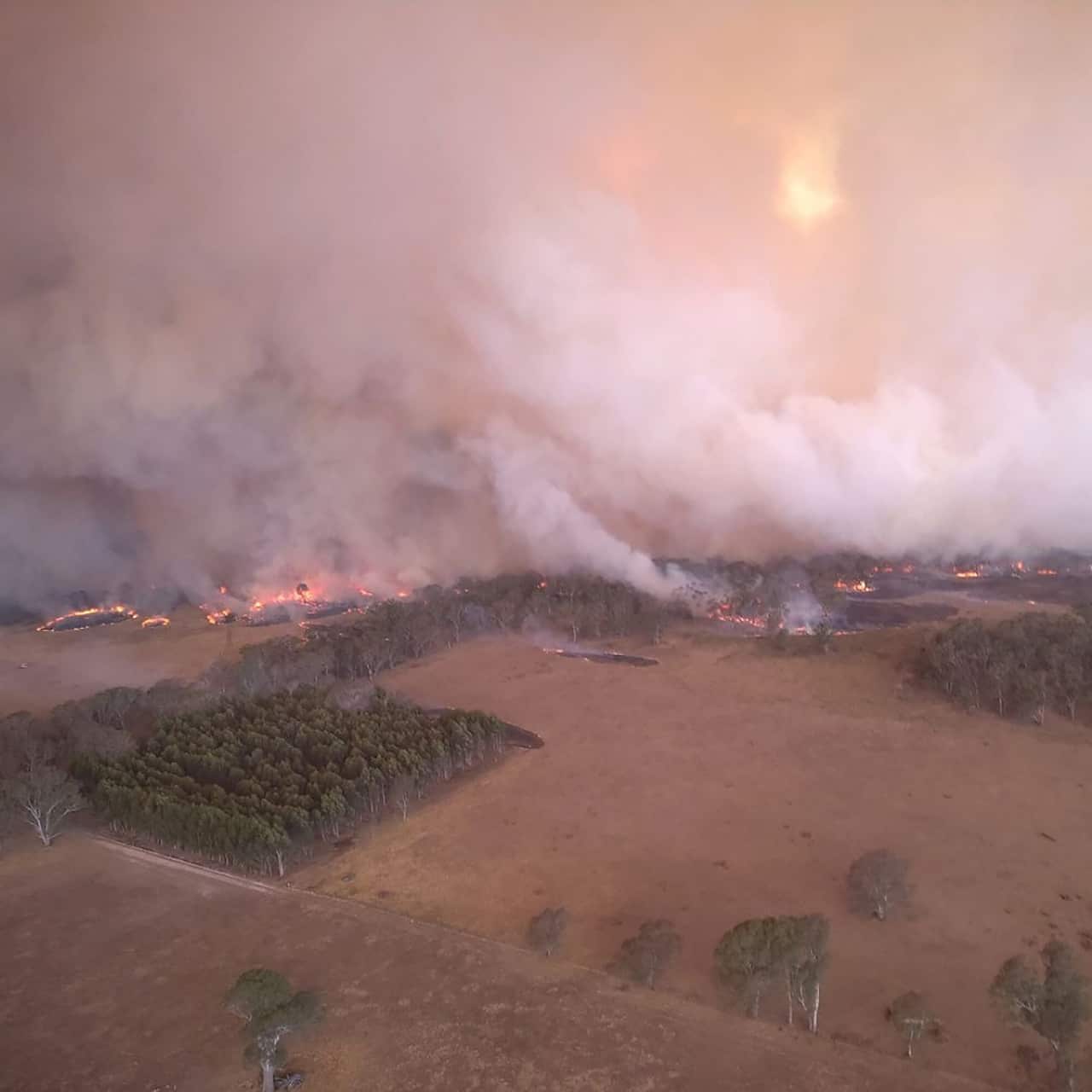A national park with multiple bushfires is shown from above.