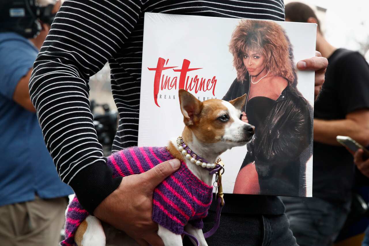 USA TINA TURNER TRIBUTES