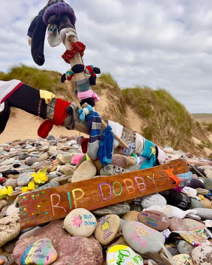 A pile of colourful pebbles with a wooden sign that says "RIP Dobby", as well as socks.