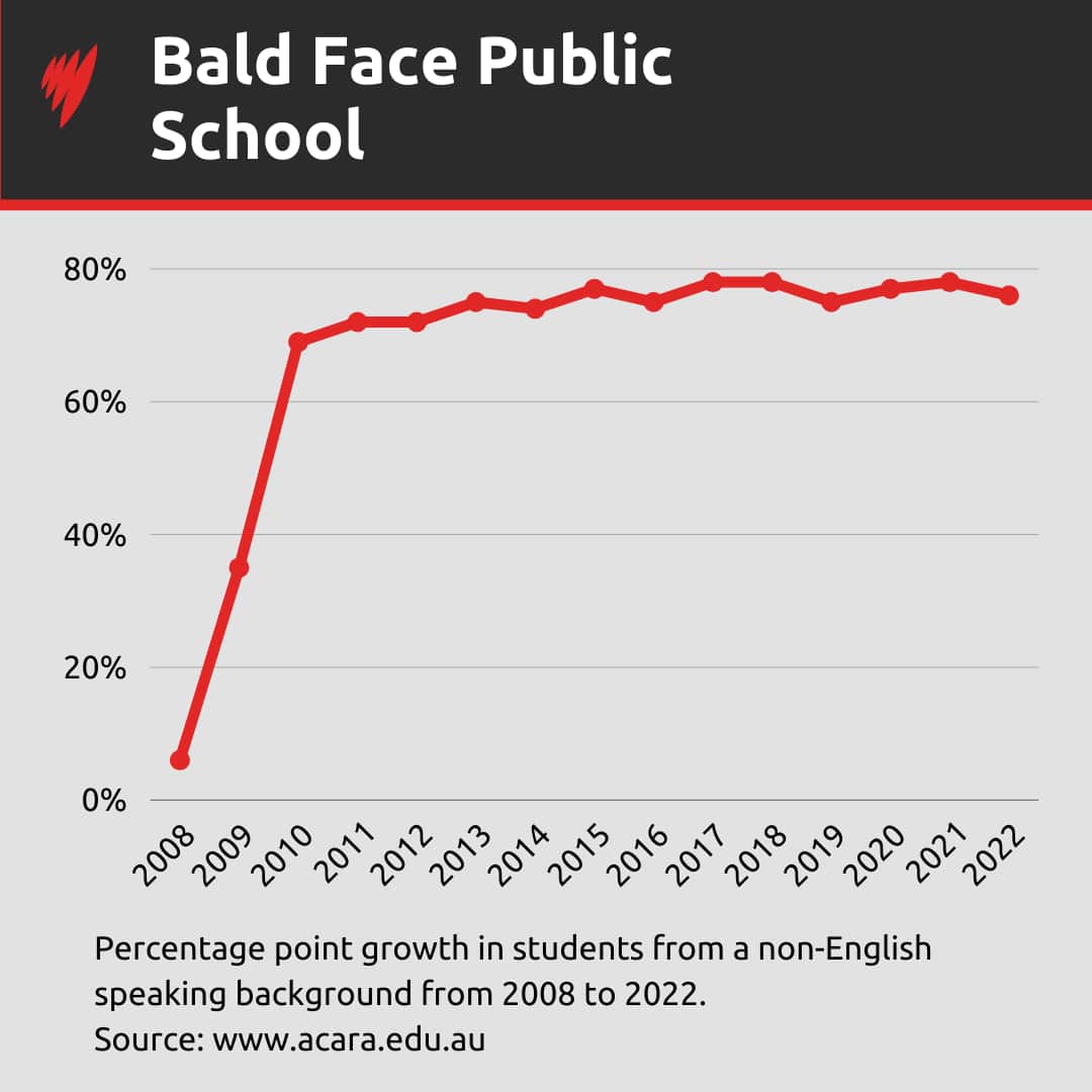 MulticulturalSchools-BaldFace.png