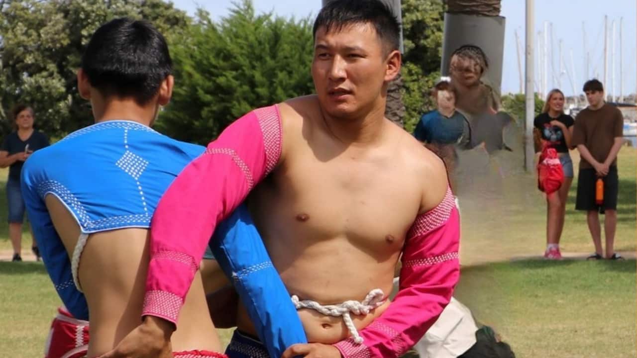 Copy of ALC Header Window Insert (4).png