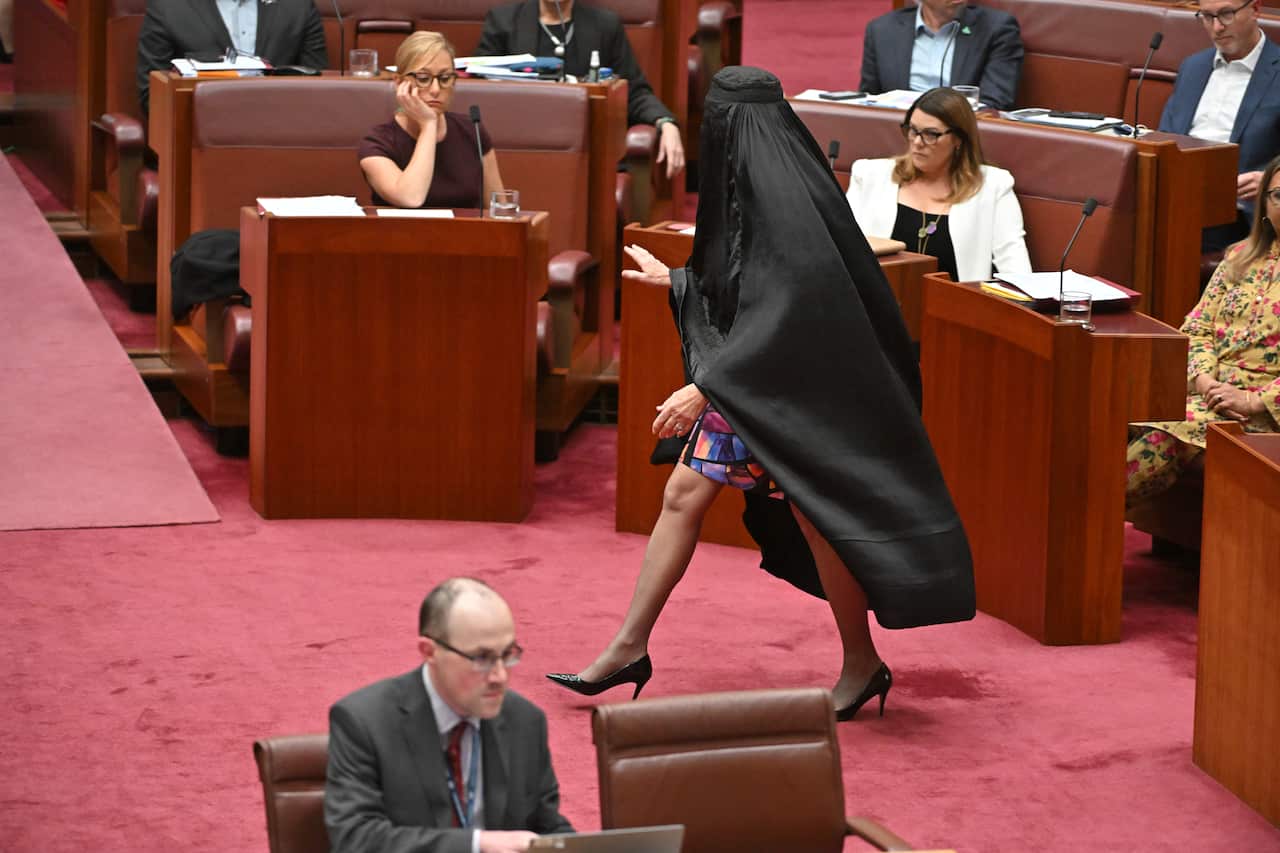 A woman wearing a burqa in parliament.