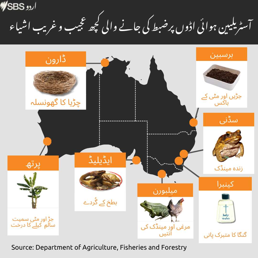 WEIRD ITEMS SEIZED GFX 1.png