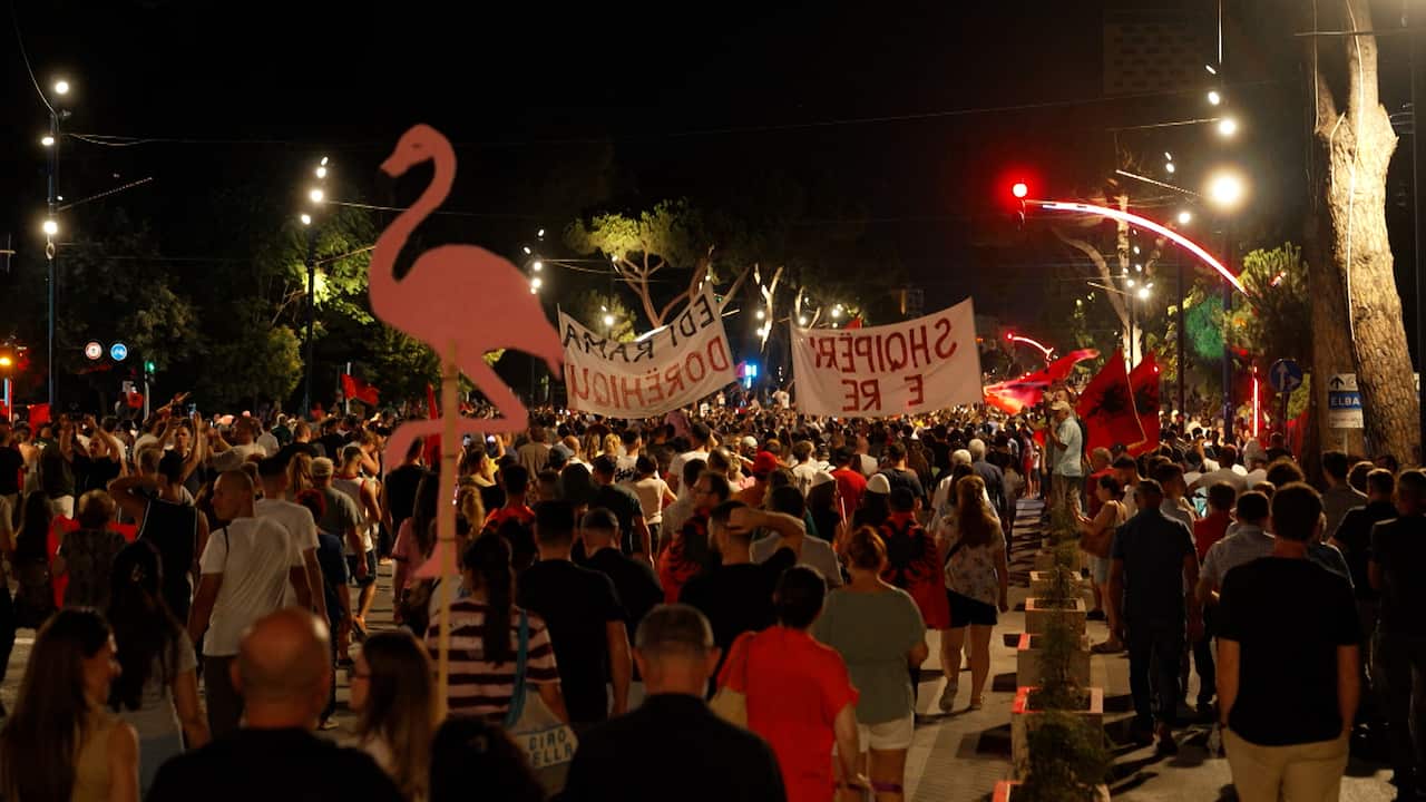 A large crowd marches down a city street at night carrying banners, Albanian flags, and a pink flamingo-shaped sign
