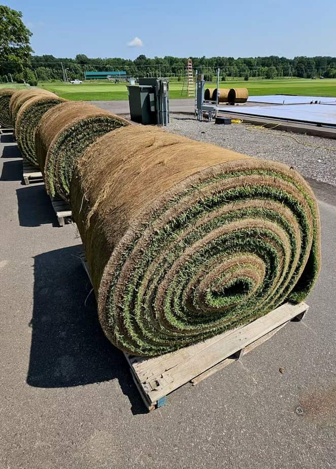 Rolls of sod
