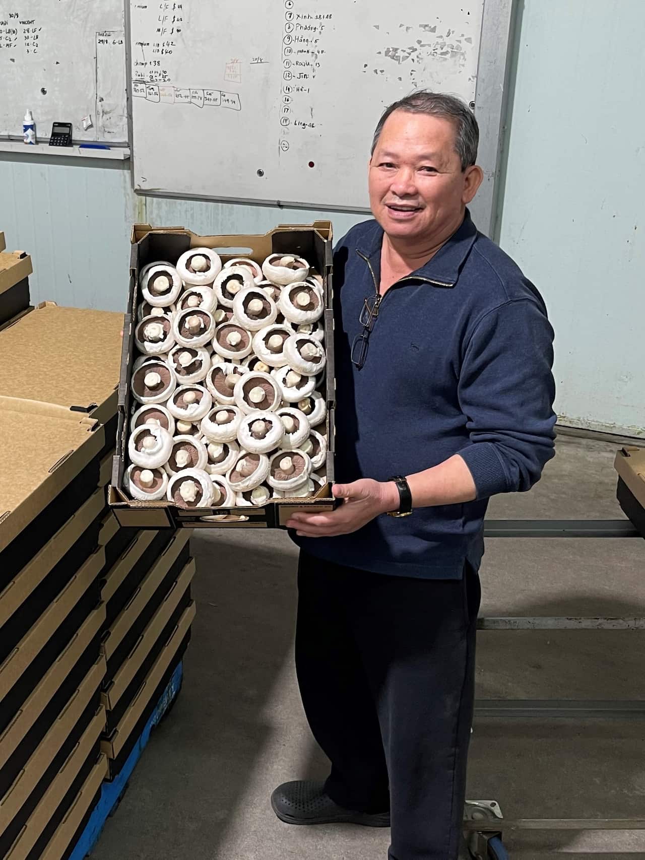 Ông Đoàn Văn Tiếp với khay nấm Field Mushroom