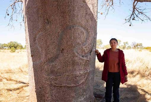 brenda garston standing next to a carved boab tree