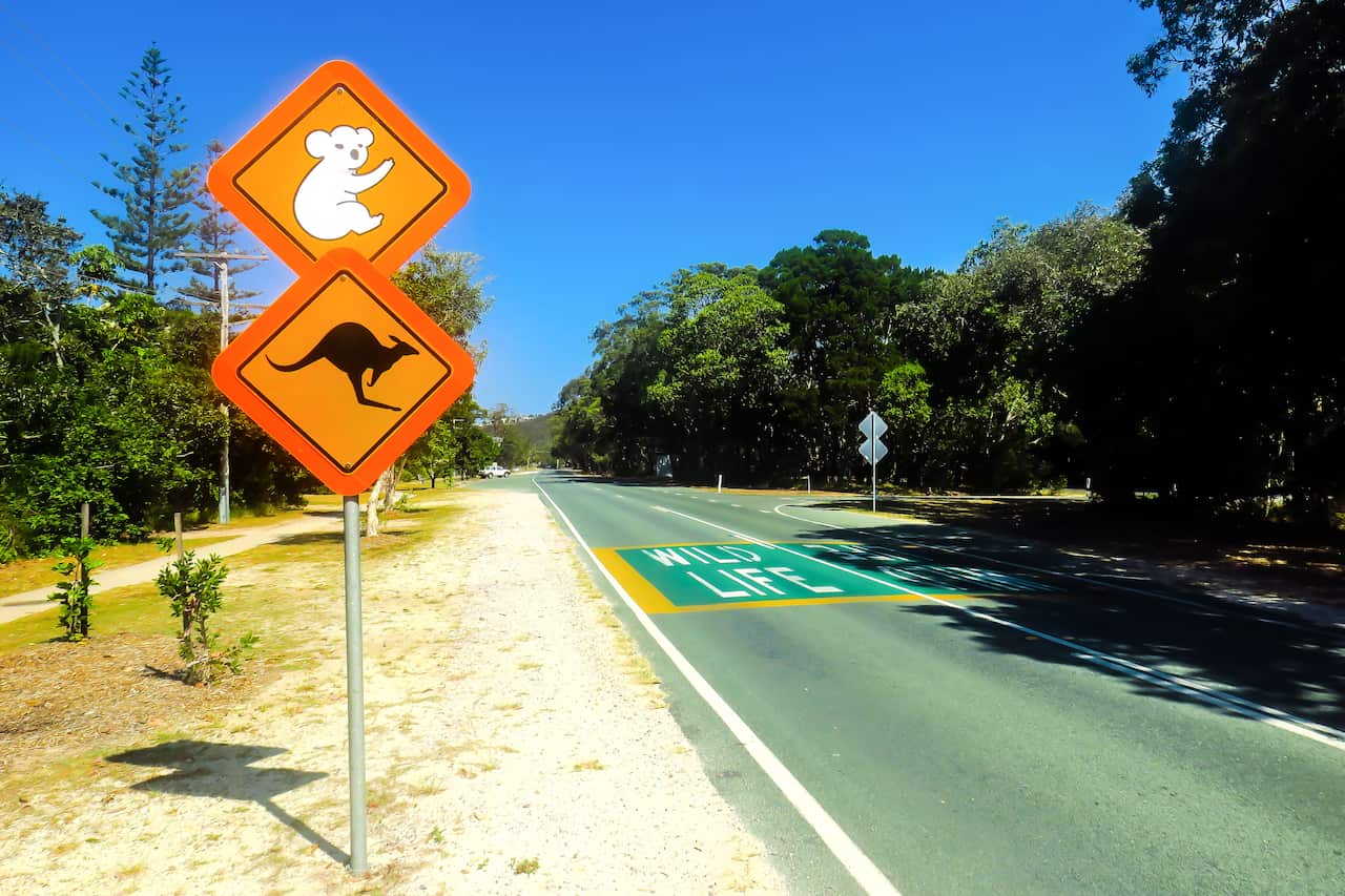 Exploring Stradbroke Island near Brisbane