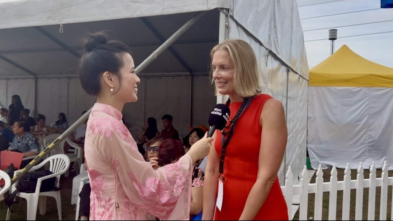 Catherine Harding .jpg