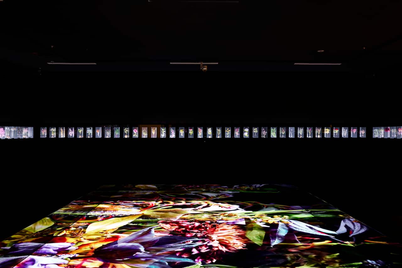Installation view of Azuma Makoto’s work 