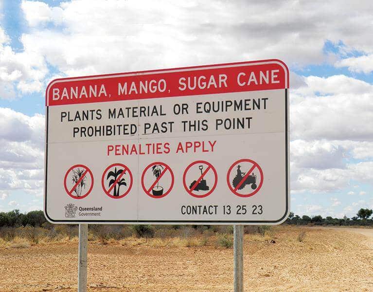 Bananas-mangos-and-sugar-cane-sign.jpg