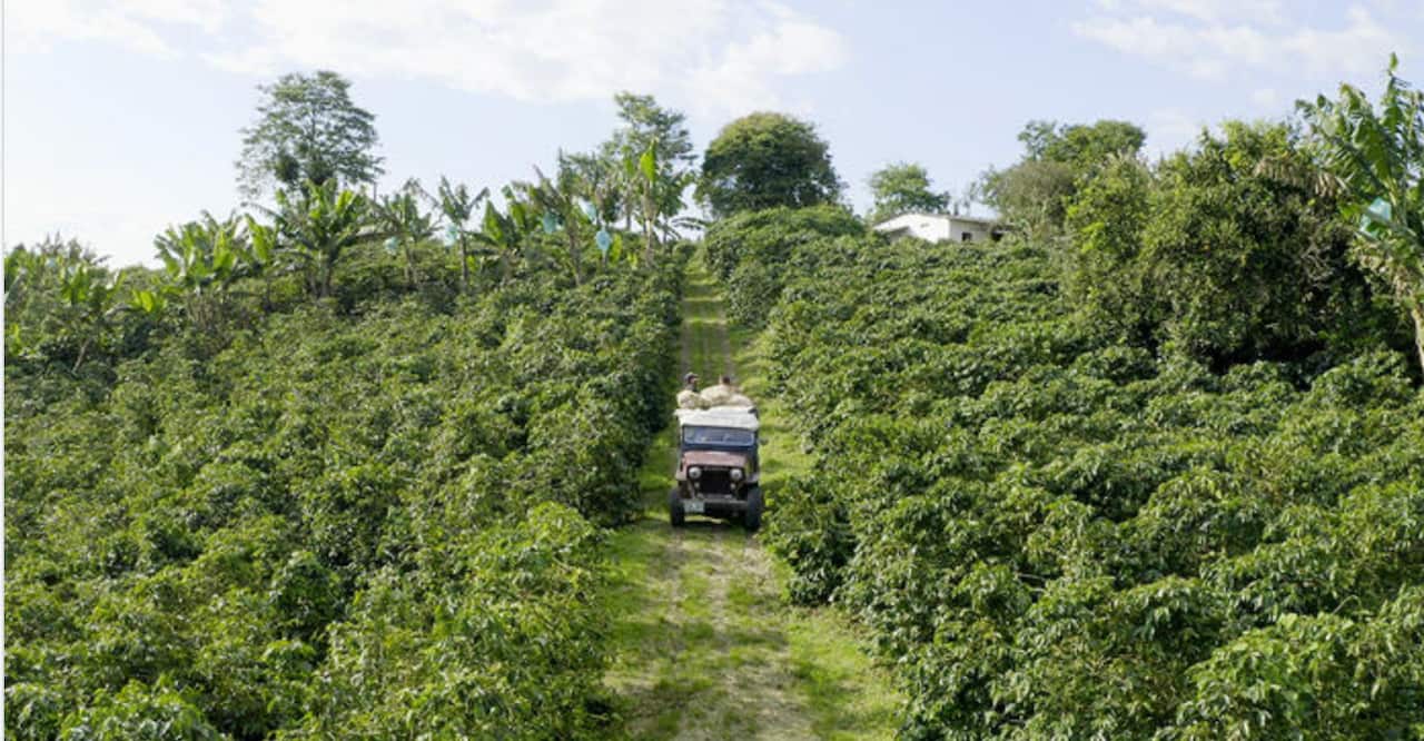 The Spice Trails: Latin America - ep 7 Colombia