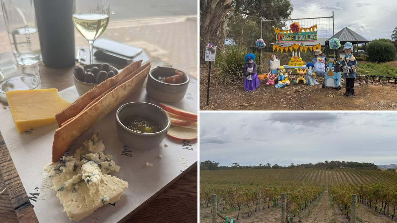 Barossa Valley Yuko Frost.png