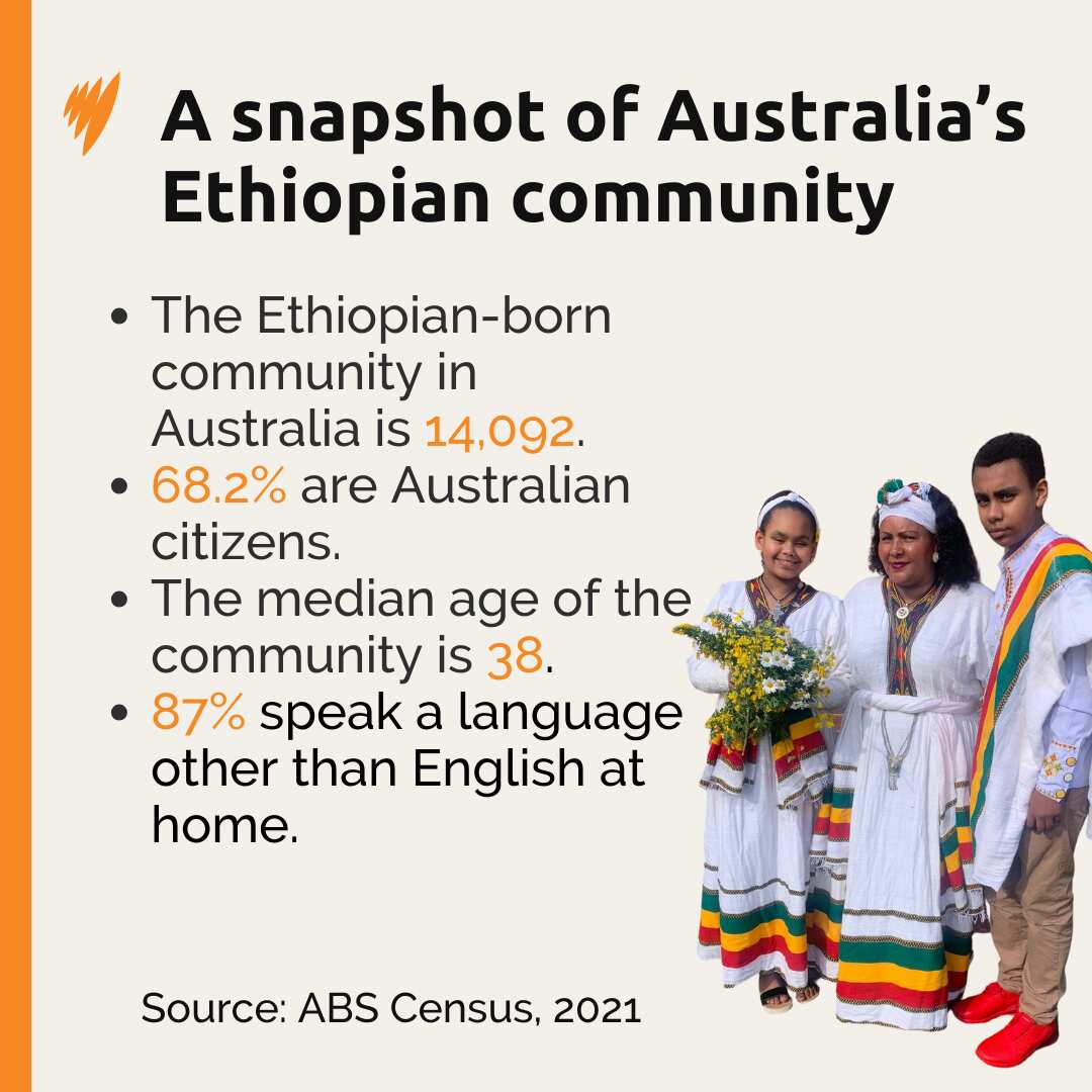 Ethiopians ABS Census.png