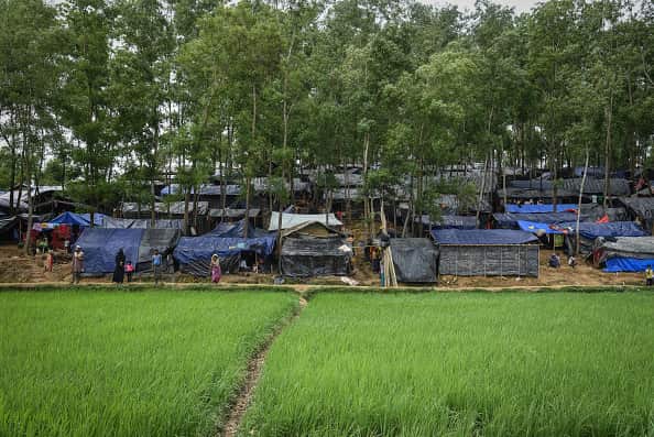 Makeshift houses next to a field 