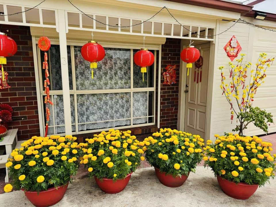 hoa nha chi Oanh.jpg