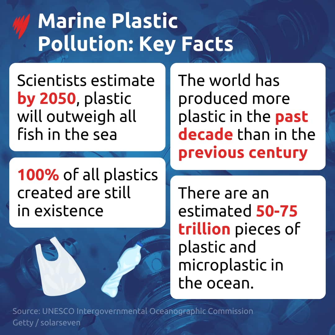 A text-based compilation explaining some key facts about marine plastic pollution