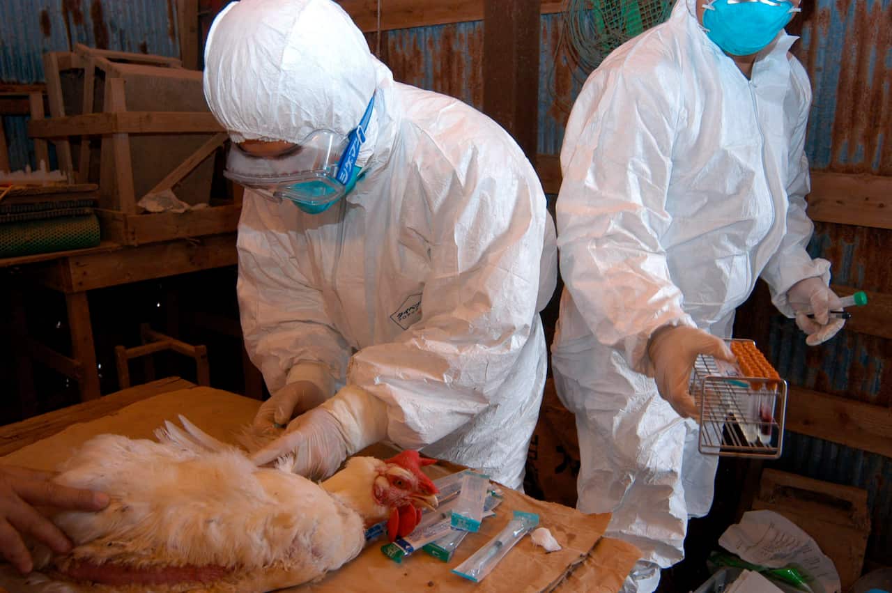 Two people wearing PPE