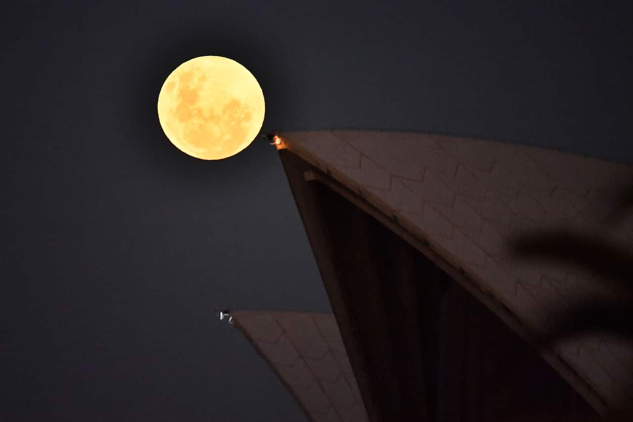 A large bright moon rising above sails of the Opera House.