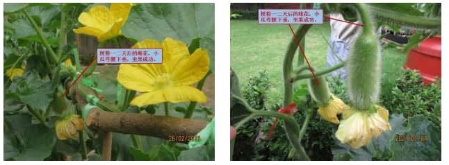 Screenshot 2024-12-13 111559.png