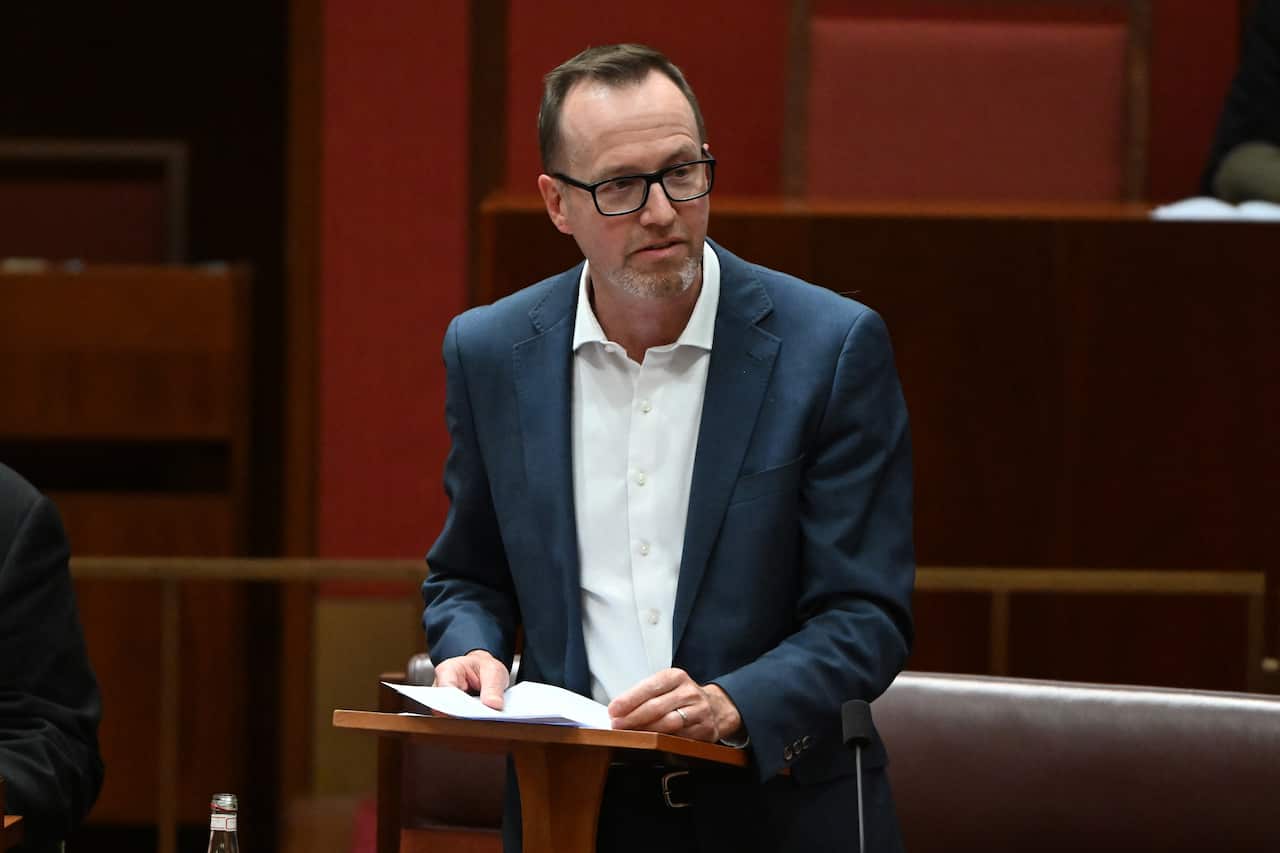 DAVID SHOEBRIDGE FIRST SPEECH