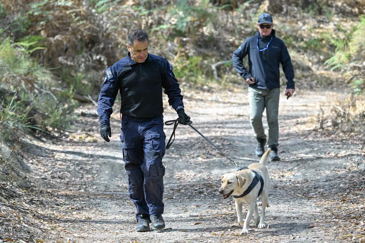 A man and a dog search a trail