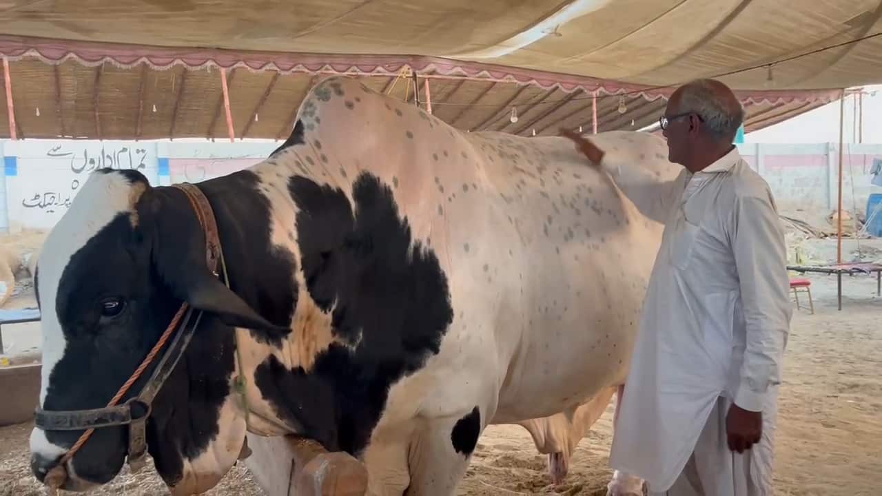 WhatsApp Image 2025-05-28 at 9.16.03 AM (1).jpeg