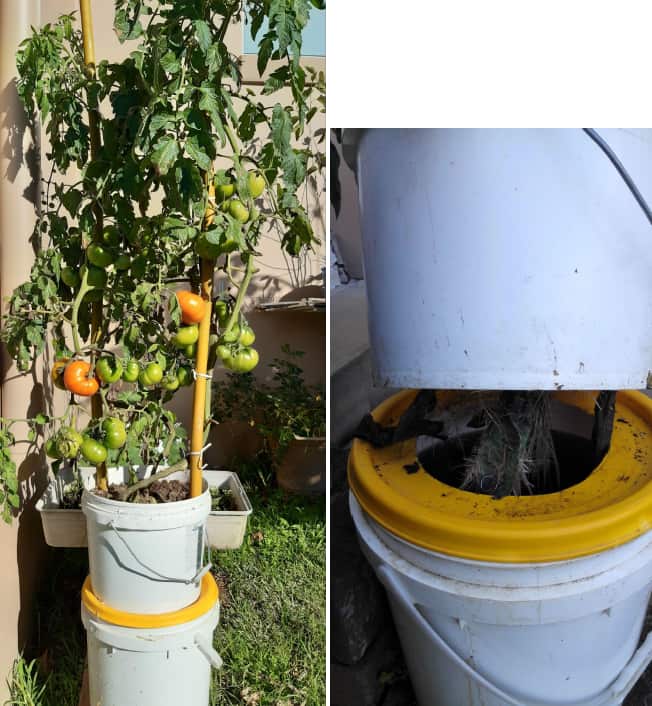 Screenshot 2024-08-09 102611.png