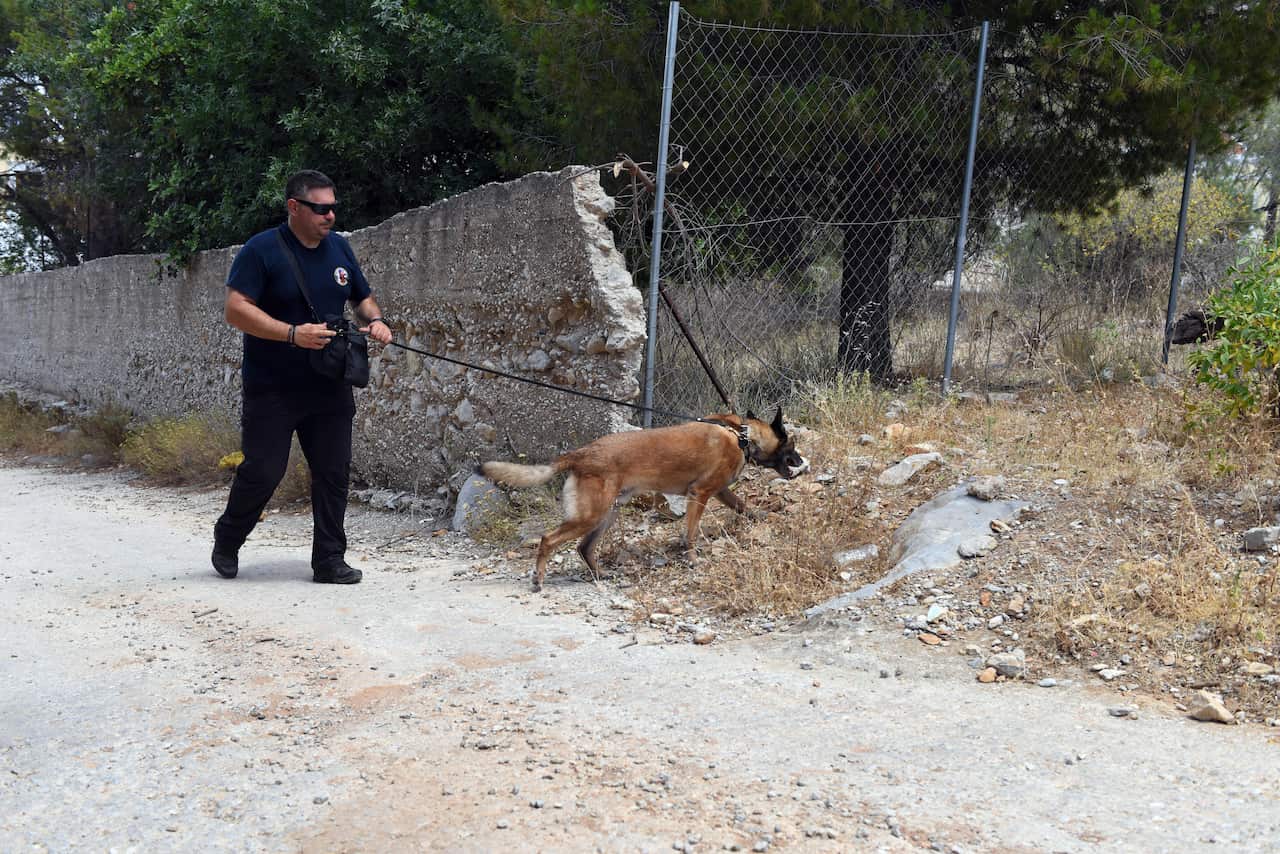 A search and rescue officer walking down a road, with a dog inspecting something on a small hill.