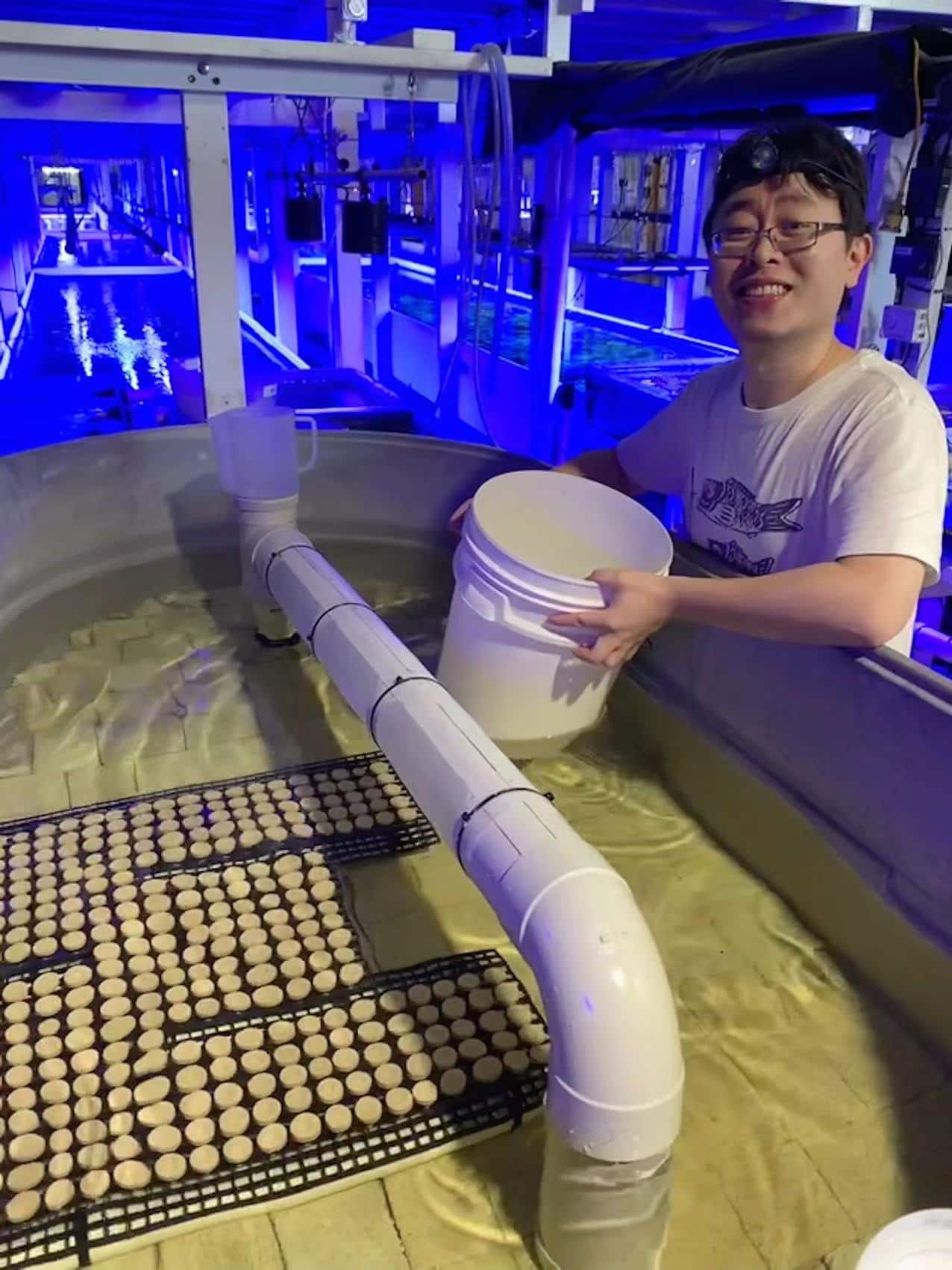 MicrosoftTeams-image (7).png