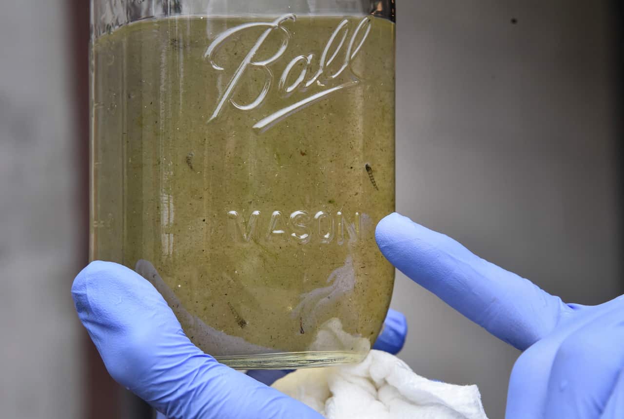 Microplastics and Water