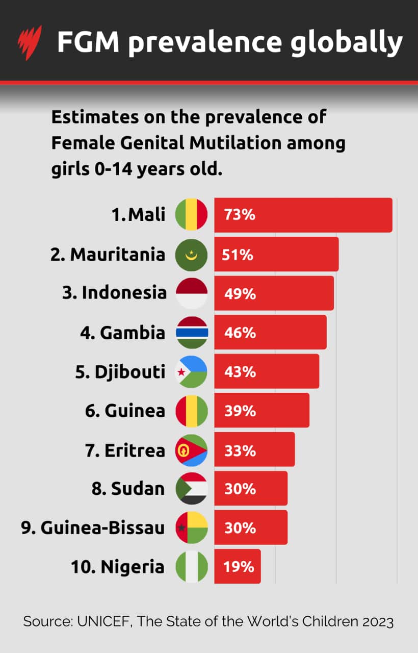 A bar chart showing the top 10 countries where FGM is prevalent 