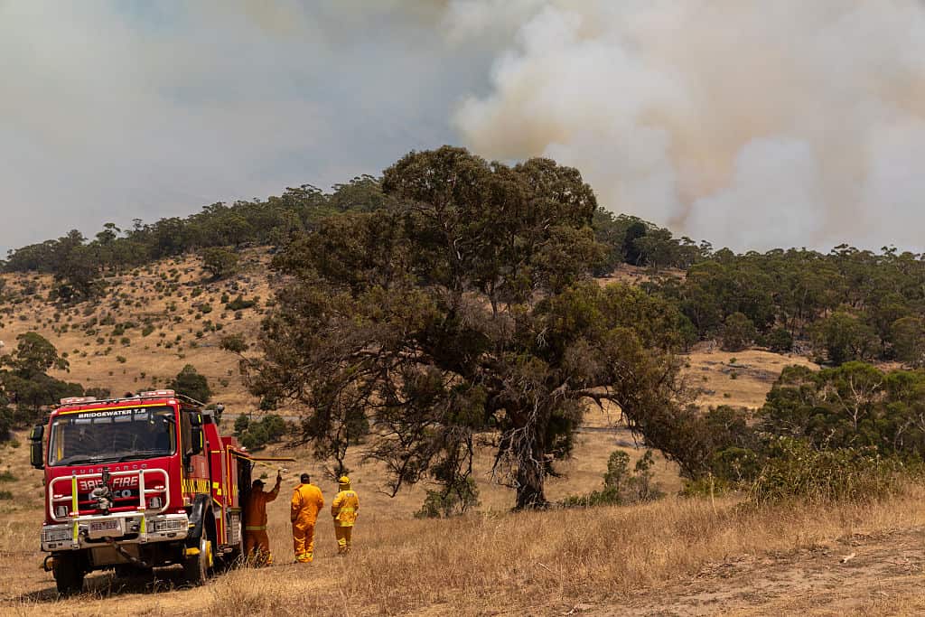 A firetruck and three firefighters stand in the parched bush watching smoke from a fire rising above a mountain. 