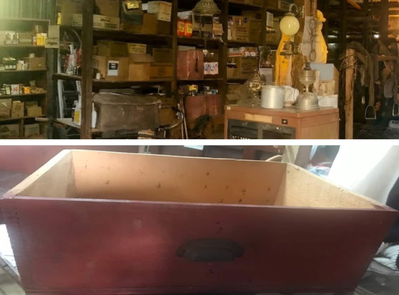 Screenshot 2026-04-01 at 3.52.19 pm.png