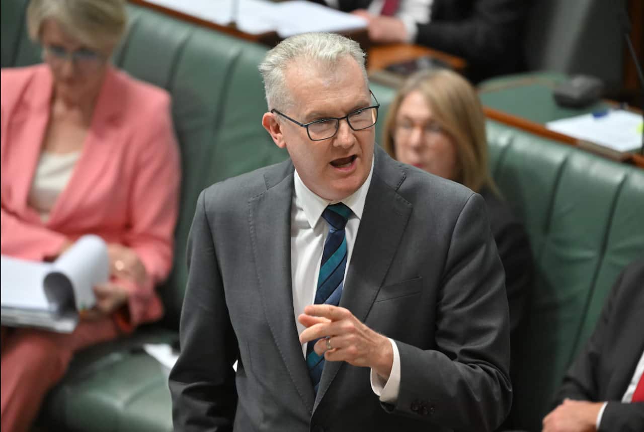 Tony Bourke.png