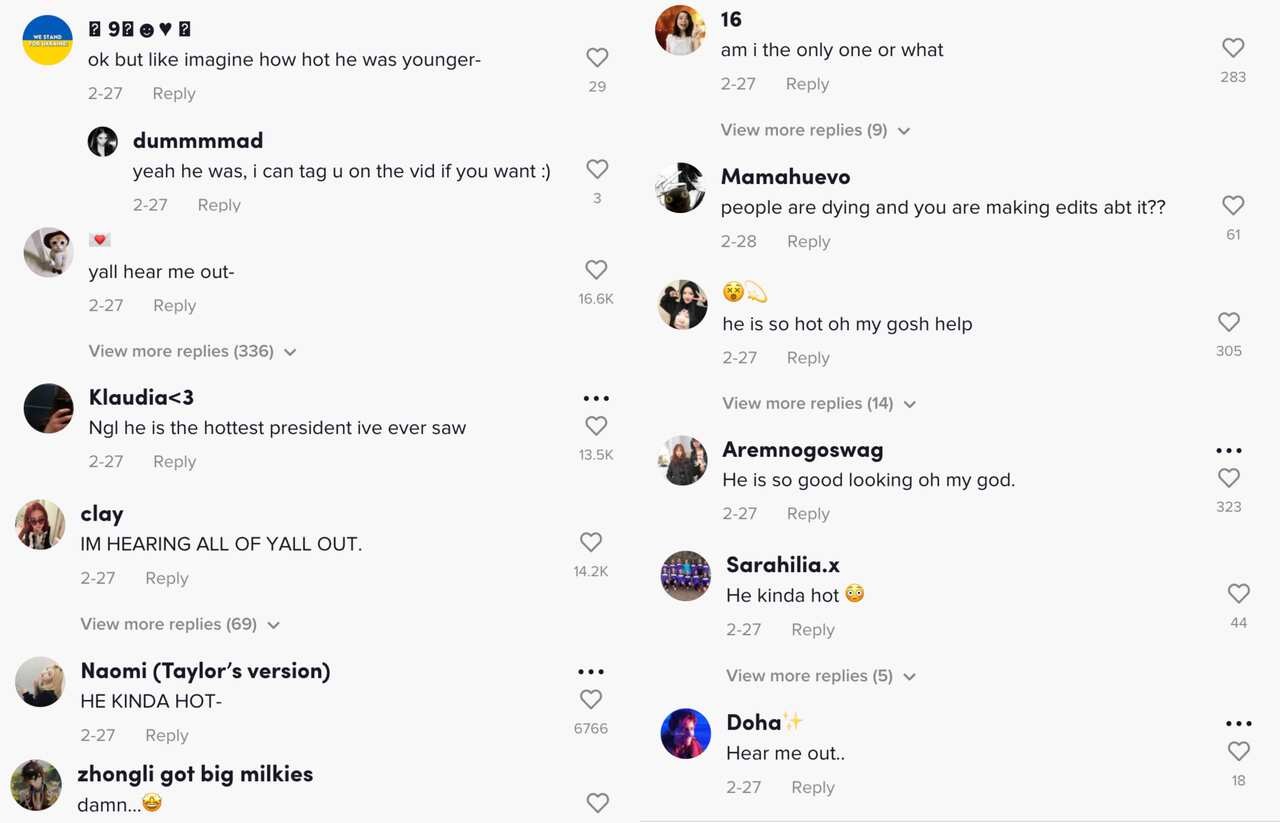 People on TikTok gush over Ukrainian President Volodymyr Zelenskyy. 
