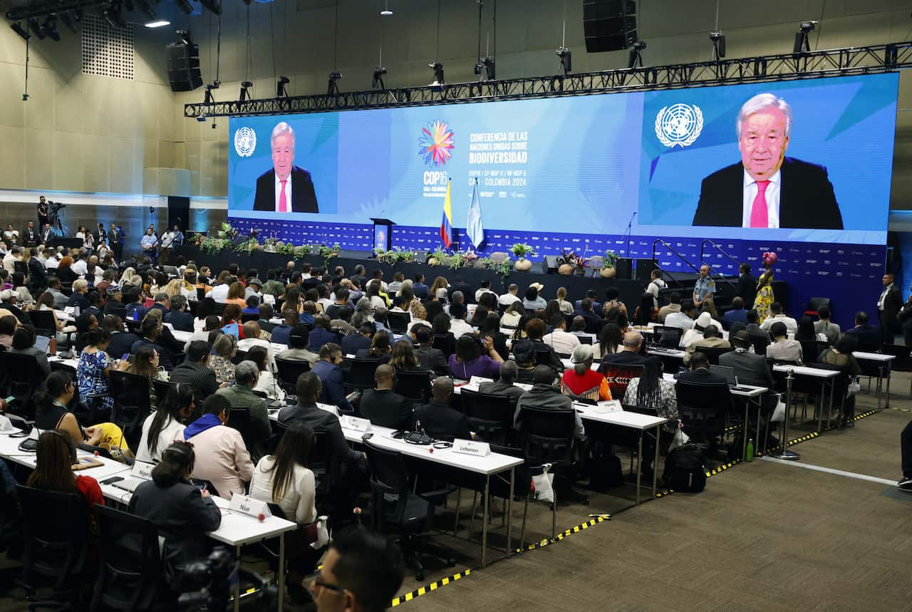 2024 United Nations Biodiversity Conference (COP16) in Cali, Coliombia