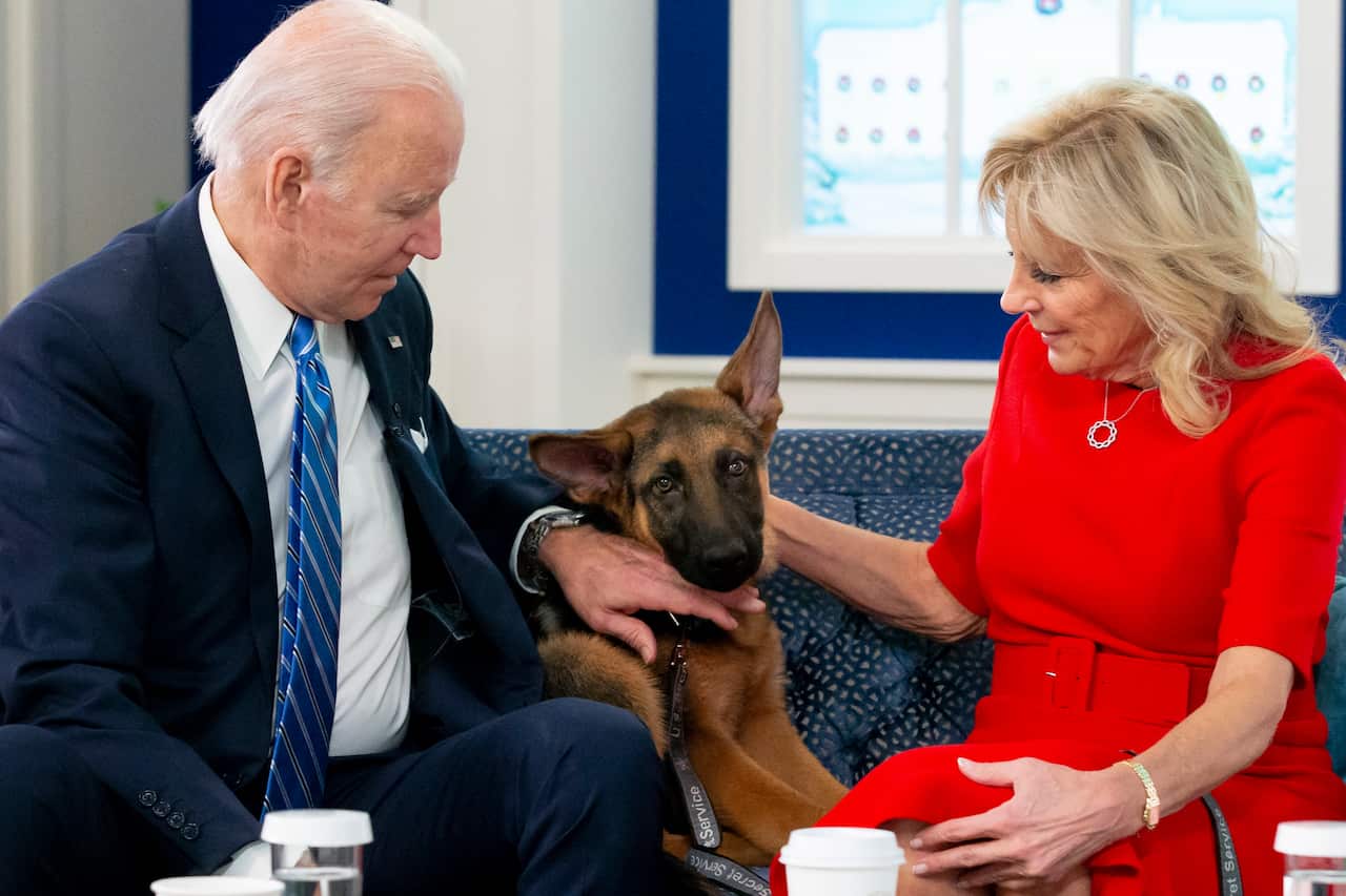 US President Joe Biden and First Lady Jill Biden pet a German Shepherd puppy on a couch. 