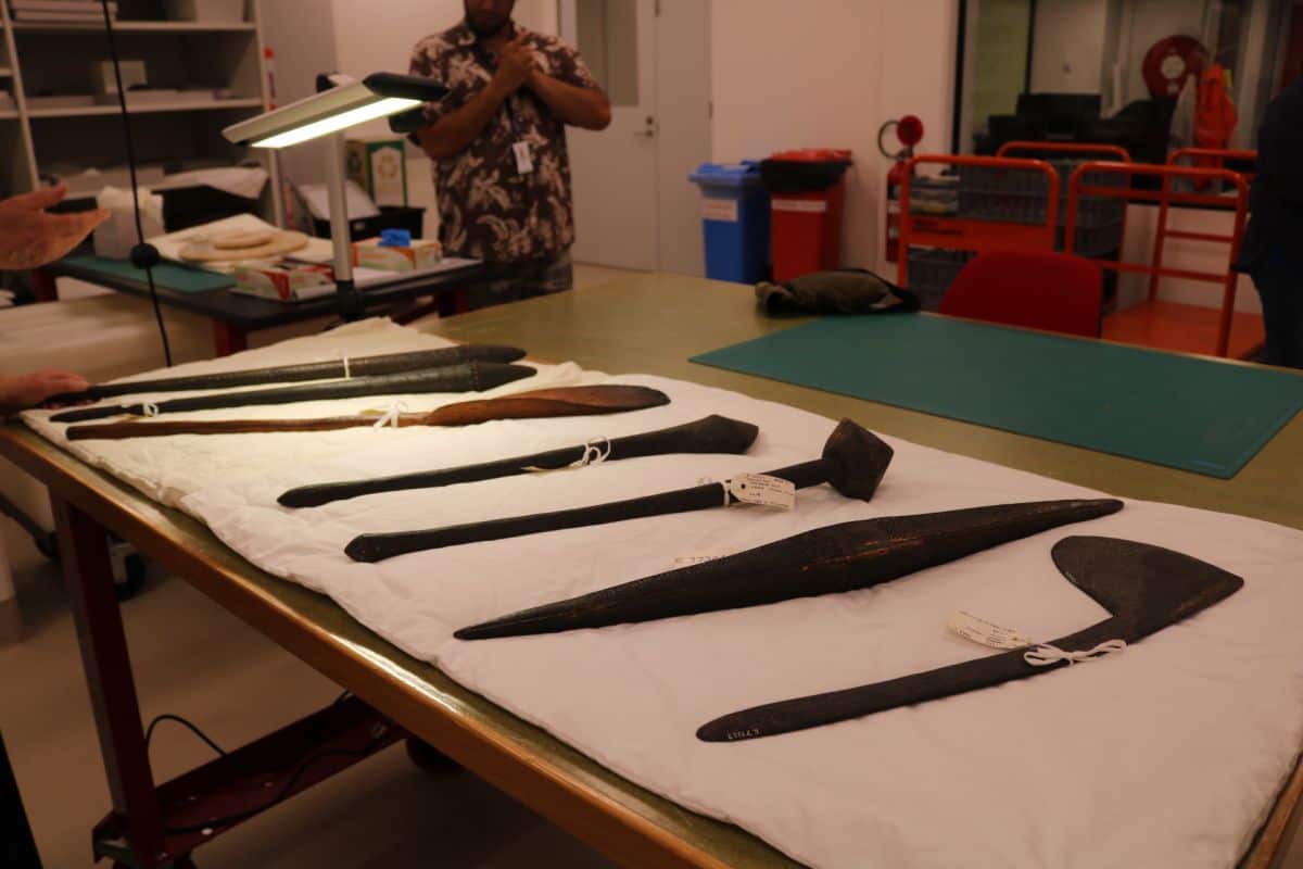Seven Wiradjuri artefacts layed out on table: a parrying shield, a shovel and five clubs. 