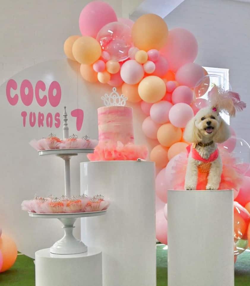 Coco standing next to a pink cakes, cupcakes and balloons for her birthday. 