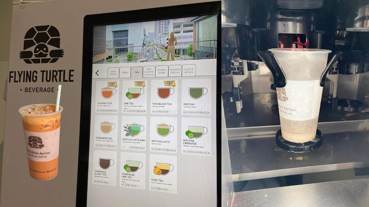 Flying Turtle Collage 1.jpg